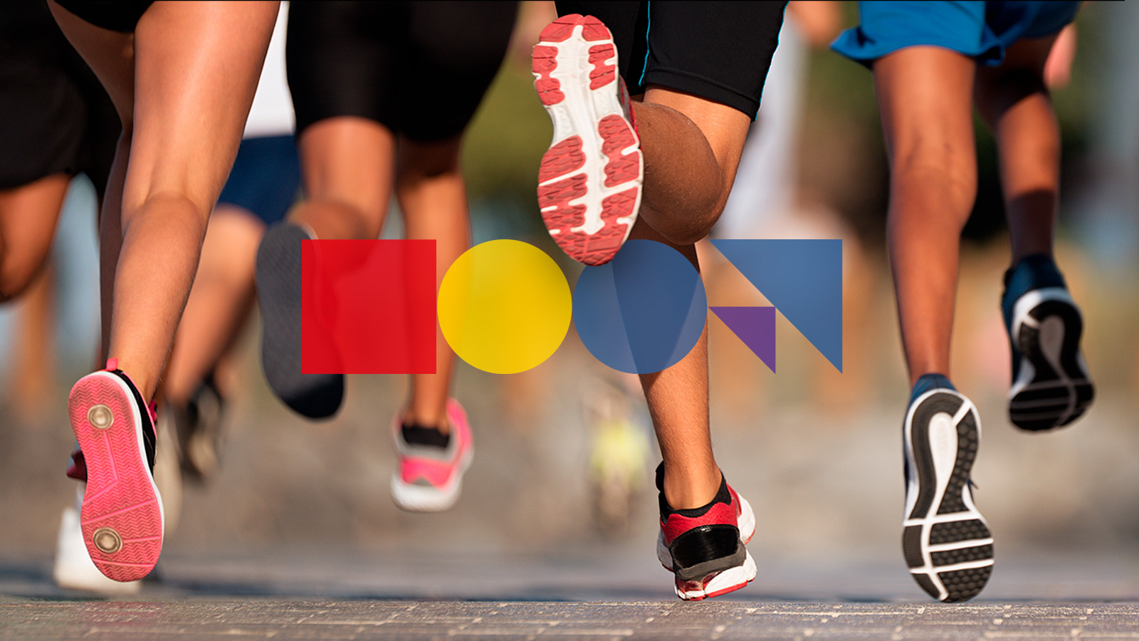 Cátedra Universitaria Deporte y Ejercicio Físico. Universidad y Ayuntamiento de Almería