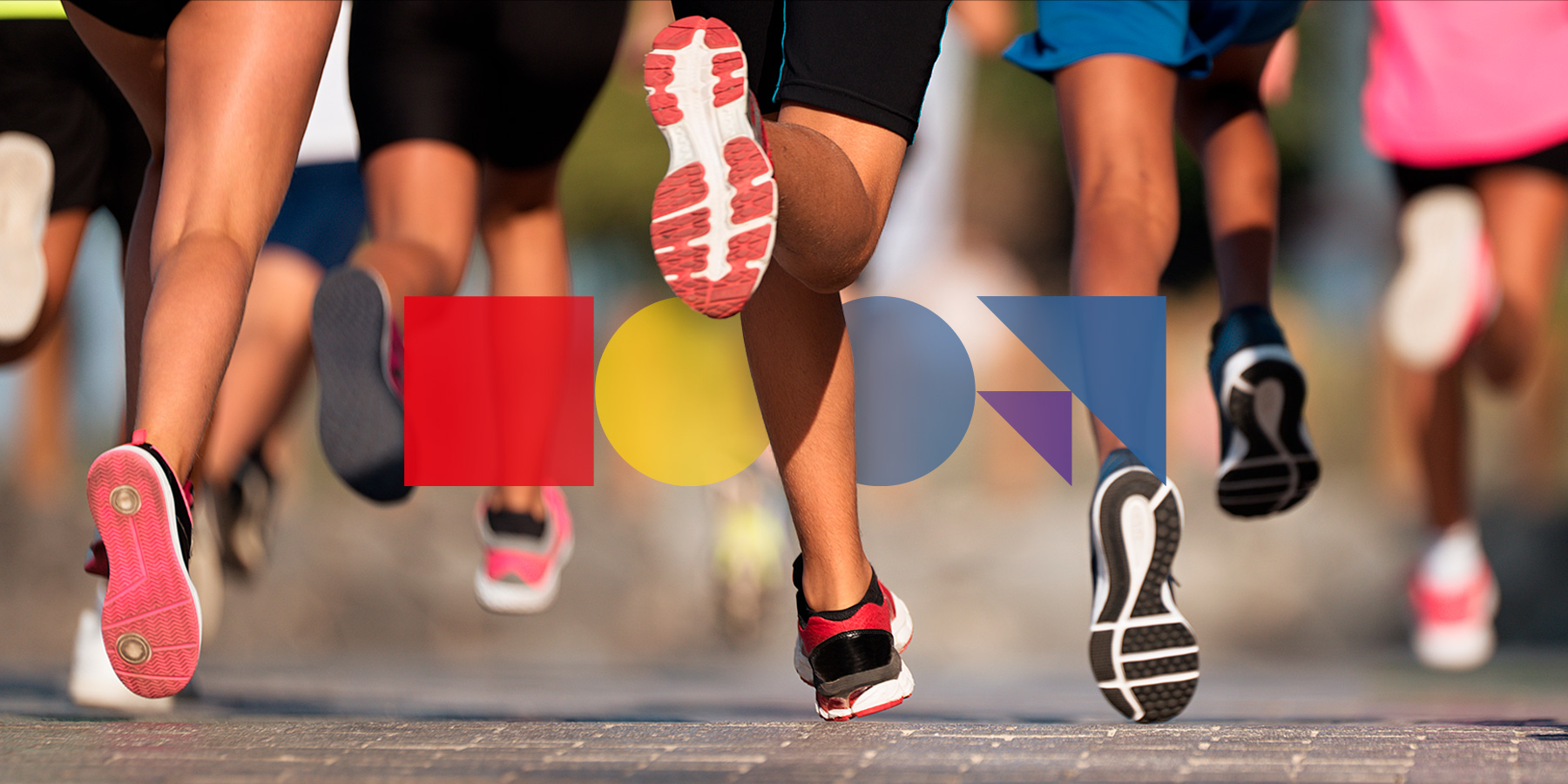 Cátedra Universitaria Deporte y Ejercicio Físico. Universidad y Ayuntamiento de Almería